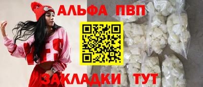 стаф Новокубанск