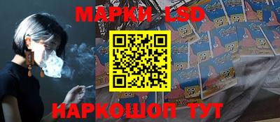 стаф Новокубанск