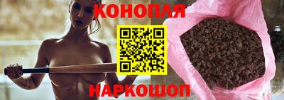 стаф Новокубанск