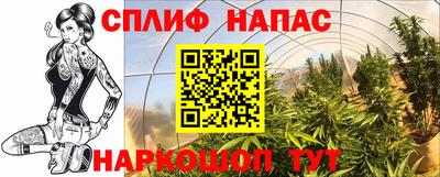стафф Новозыбков