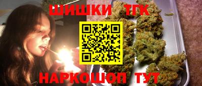стаф Новокубанск