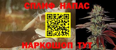 стаф Новокубанск