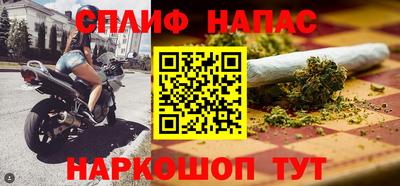 стаф Новокубанск