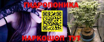 стаф Новокубанск
