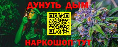 spice Новодвинск