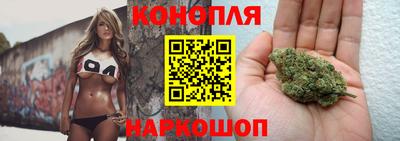 стафф Новозыбков