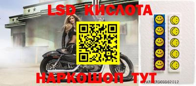 spice Новодвинск