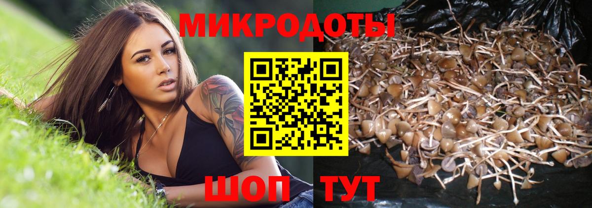Псилоцибиновые грибы GOLDEN TEACHER Рассказово